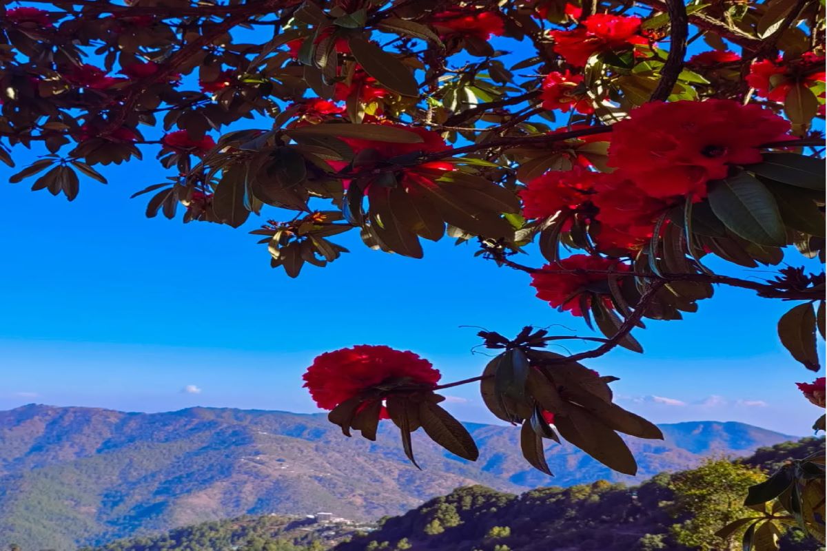 Uttarakhand Tour Gallery